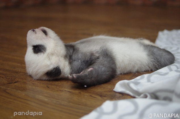 So happy that tomorrow is the weekend - Image 2