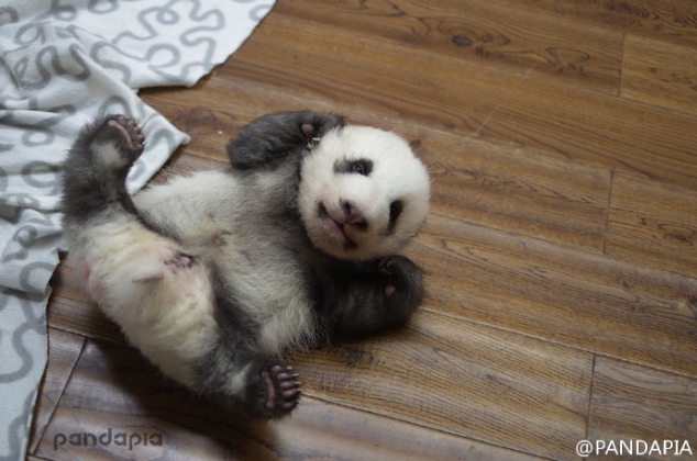 So happy that tomorrow is the weekend - Image 3