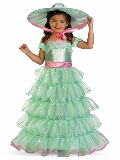 Southern Belle Costume