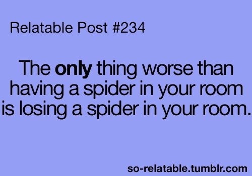 Spiders