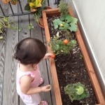 Teeny Tiny Foodie - Image 3