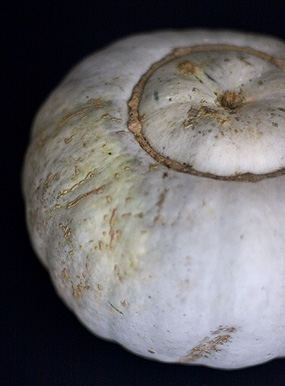 Toasted Pumpkin Seeds  - Image 2