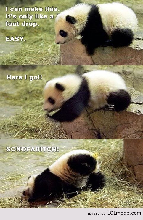 Too Cute