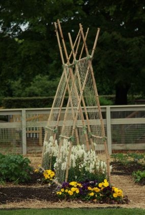 Trellis garden ideas