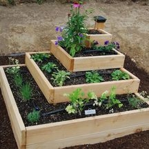 Vegetable Garden