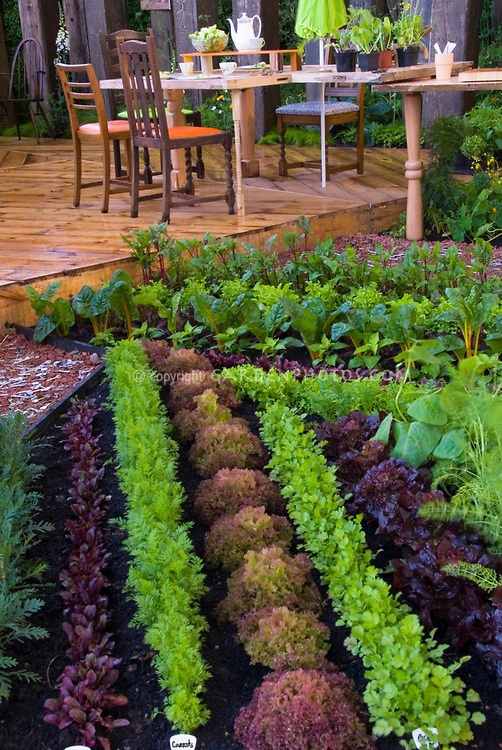 Backyard Vegetable Garden Design