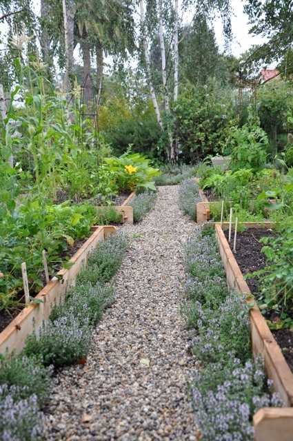 Vegetable Gardening 101 - Image 3