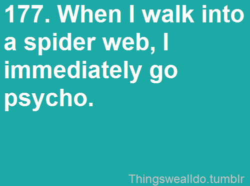"When I walk into a spider web, I immediately go psycho."