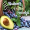 Blueberry Avocado Smoothie - Vitamix Recipes