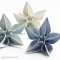 Carambola Flowers - Gift Ideas