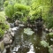Design Your Dream Pond - Great Gardening Ideas
