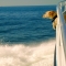Enjoying the ride - Photography I love