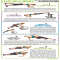 Five Flat-Belly Moves - Gotta get those abs!