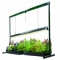 Garden At Home - Gardening Tips