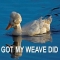 Got my Weave Did - Funny Stuff