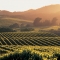 Napa Valley, Napa, California - Beautiful places