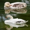 Nature Photography - Fantastic Photography 