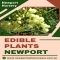 Newport Native Nursery - Native Nursery