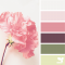 Petal hues for the bathroom