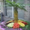 Pineapple palm tree