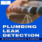 revent Costly Damage with Expert Plumbing Leak Detection - Plumbing Services