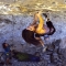 Rock the overhang