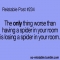 Spiders - Funny Things