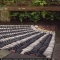 Sunrays made of stones. Love it.