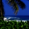 Surfer's paradise [picture] - Surfing