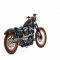 The Sparkster by Shaw Speed & Custom