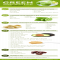 The Ultimate Green Smoothie Formula - Healthy Food Ideas