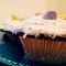 Nothing better then things hidden in cupcakes!