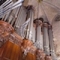 Notre-Dame Paris