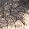 Patio stones