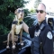Meet Shaka The Police Pit Bull