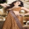 Brown Banarsi Silk Saree With Blouse - Silk Sarees