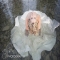 Trash the Dress - Tame Images - Photography I love