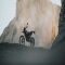 Zero FX Electric Dirt Bike