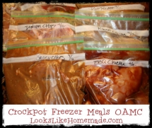8 Freezer Crock Pot Recipes - Crock Pot Recipes