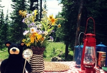 A Classic Campout Party  - Party ideas