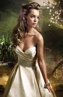 Absolutely Amazing! - Wedding Ideas