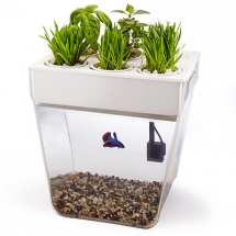 Aquafarm  - Home Accents