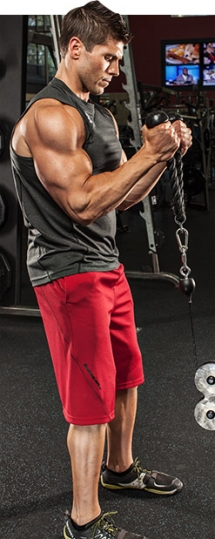Arm Workouts For Men: 5 Biceps Blasts - Health & Fitness