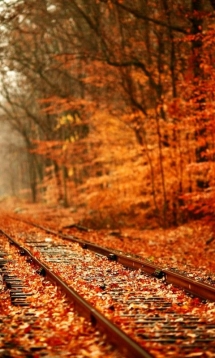 Autumn leaves - Fantastic Photography 