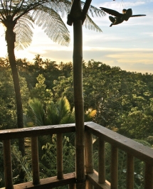 Bali - Beautiful places