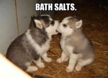 Bath Salts makes you do crazy things - Funny Stuff