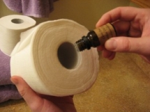 Bathroom air freshener  - Fun stuff to do yourself