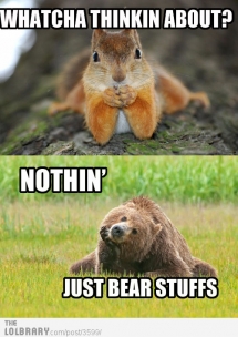 Bear Stuffs - Funny Stuff
