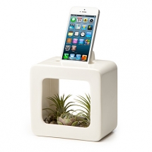 Bloom Box  - Home Accents