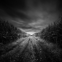 road - Black and White Photos